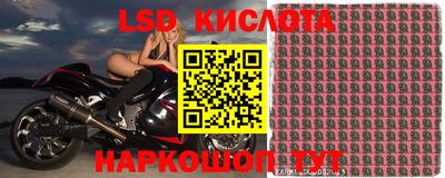 ПСИЛОЦИБИНОВЫЕ ГРИБЫ Балахна