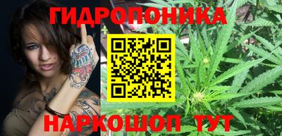 ПСИЛОЦИБИНОВЫЕ ГРИБЫ Балахна