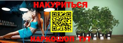 ПСИЛОЦИБИНОВЫЕ ГРИБЫ Балахна