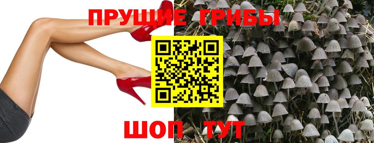 Джанкой  Псилоцибиновые грибы Psilocybe  наркошоп  Вход с VPN 